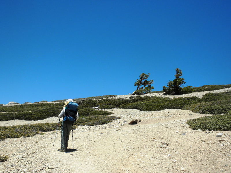 baldy70410 036.jpg
